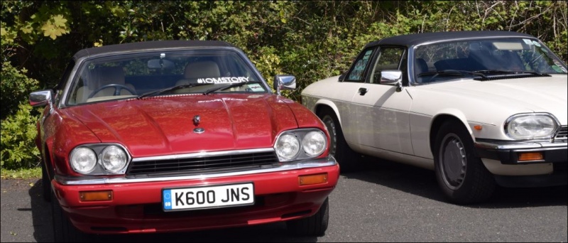 Photo 1698 Photo 1698