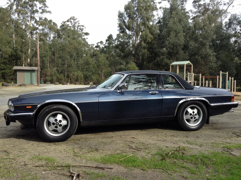 Photo 1733 Photo 1733