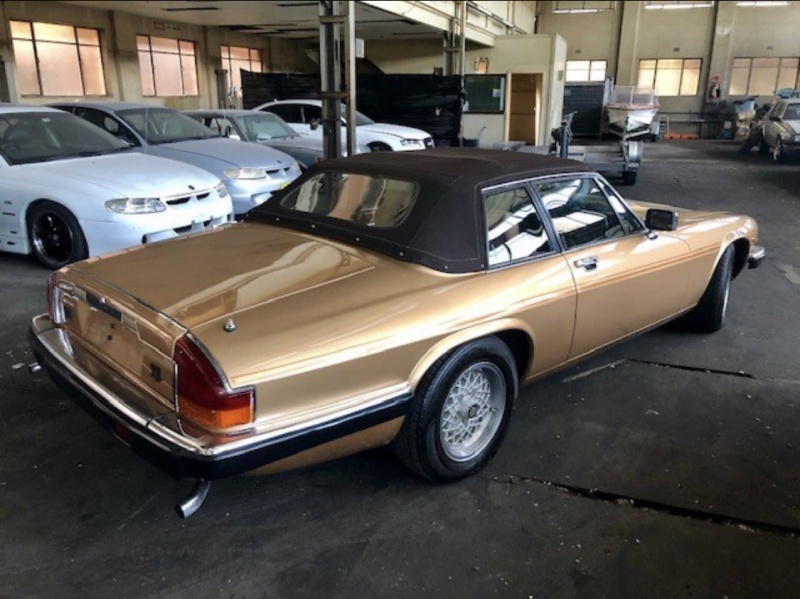 Photo 1781 Photo 1781