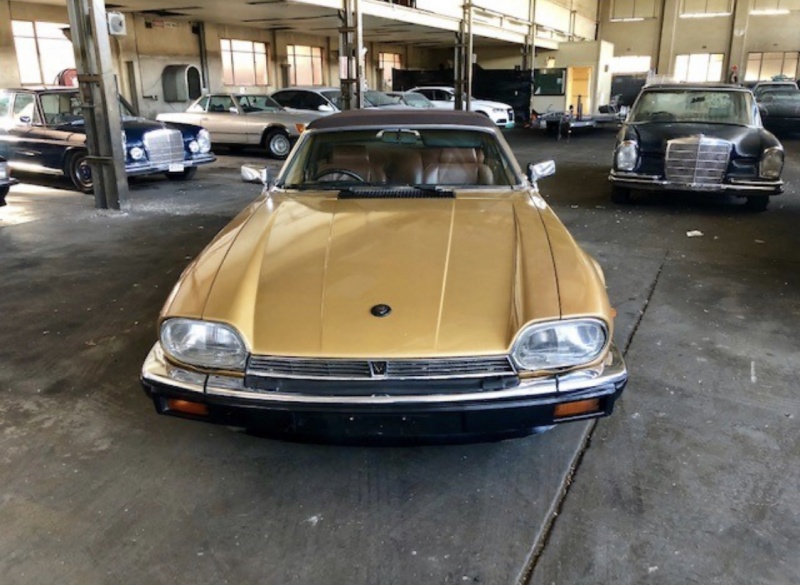 Photo 1783 Photo 1783