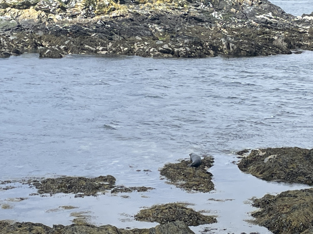 Photo 2037 Photo 2037