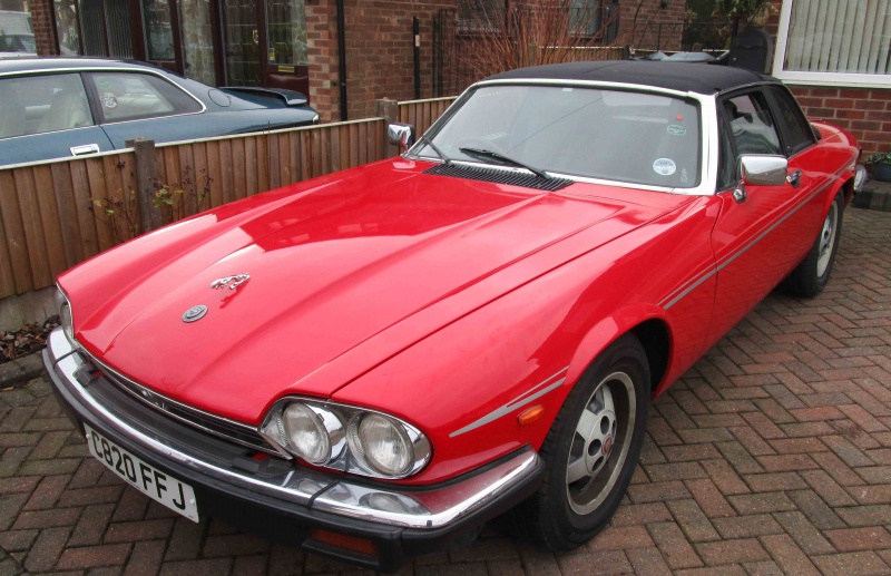 Photo # 242 Photo # 242