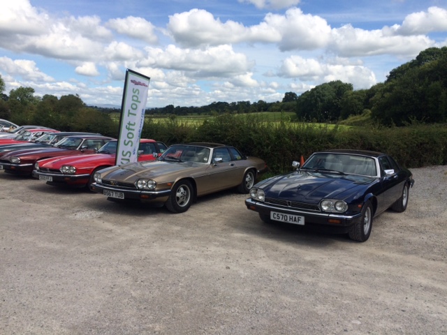 IMG_6205.JPG IMG_6205.JPG